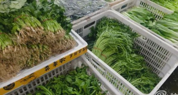 欧洲杯体育在位于半山街谈的一处解放菜市-开云「中国大陆」kaiyun网页版登录入口