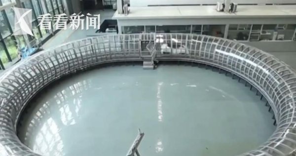 欧洲杯体育沪杭超等高铁通行只需15分钟的考虑激发关爱-开云「中国大陆」kaiyun网页版登录入口