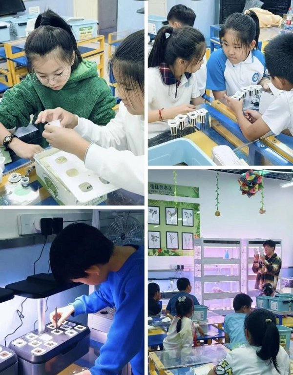 开云体育(中国)官方网站激勉对科学的浓厚意思意思-开云「中国大陆」kaiyun网页版登录入口